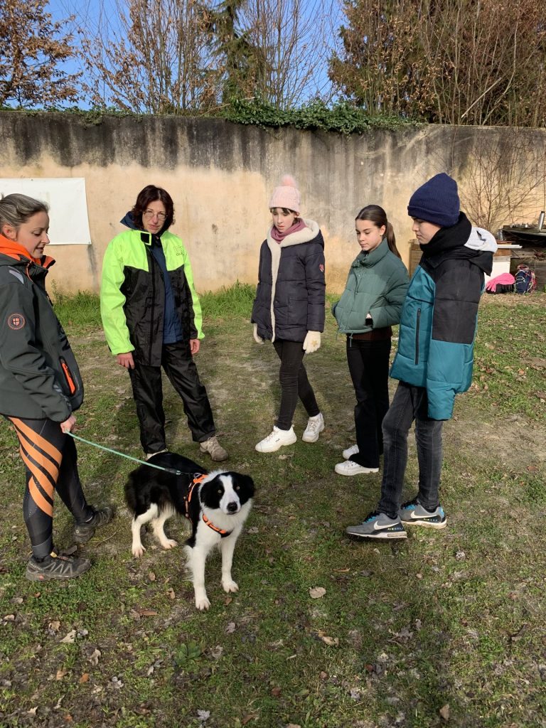 médiation canine au collège de teloché