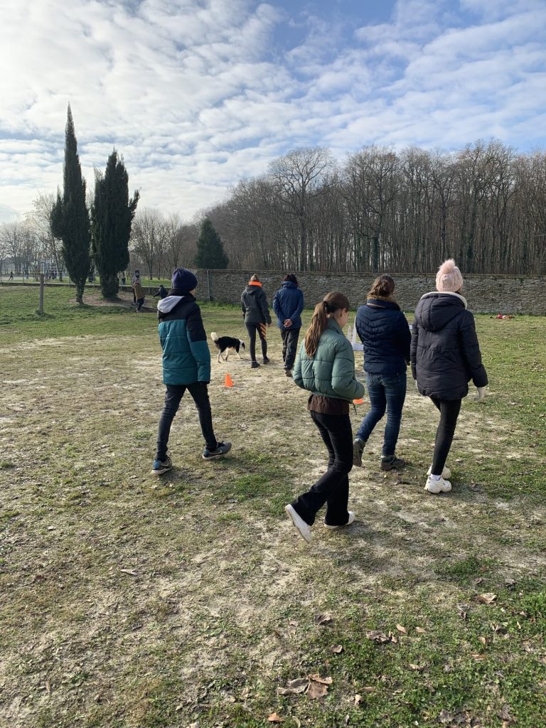 médiation canine au collège de teloché