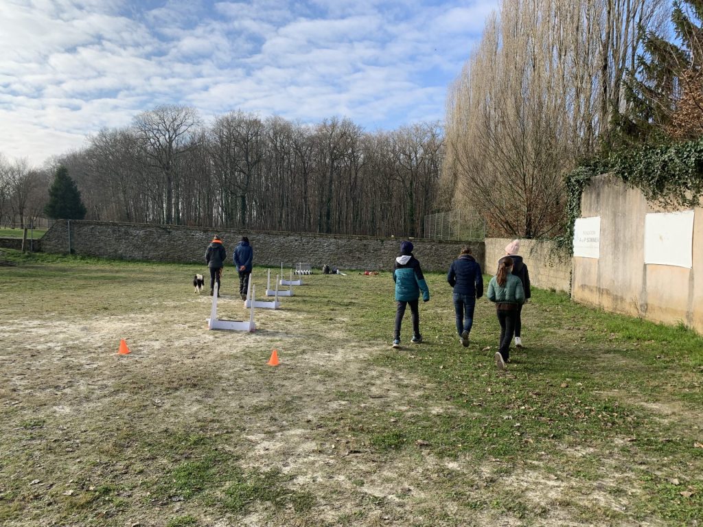 médiation canine au collège de teloché