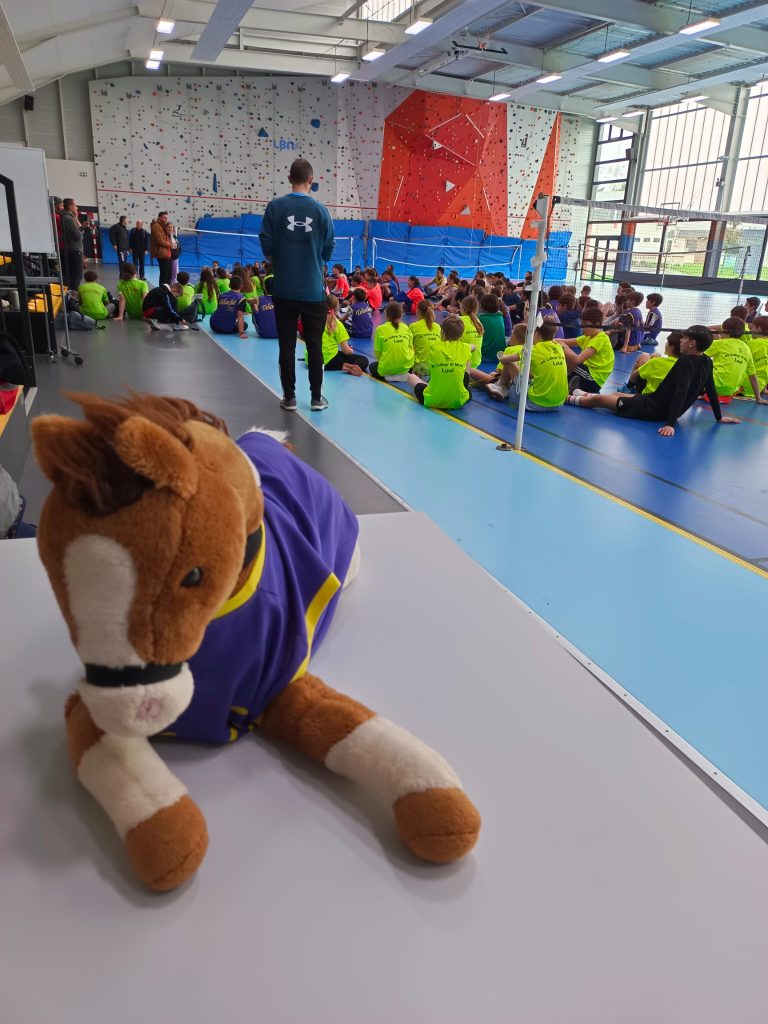 Ugsel collège STJB La Salle Teloché