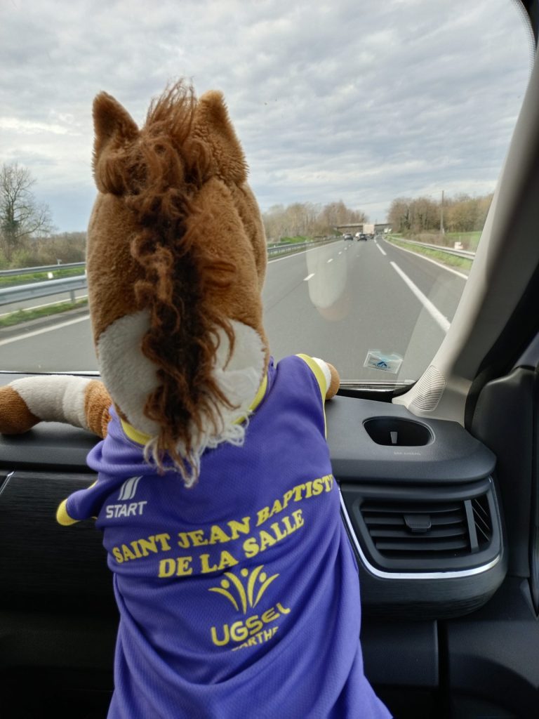 régional bad collège teloché