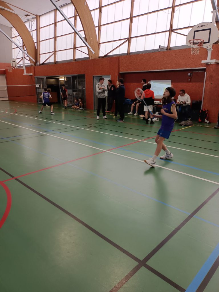 régional bad collège teloché