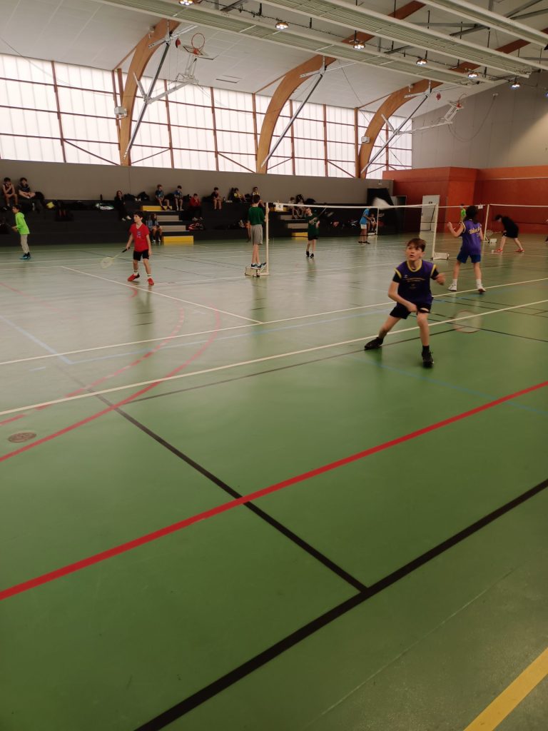 régional bad collège teloché