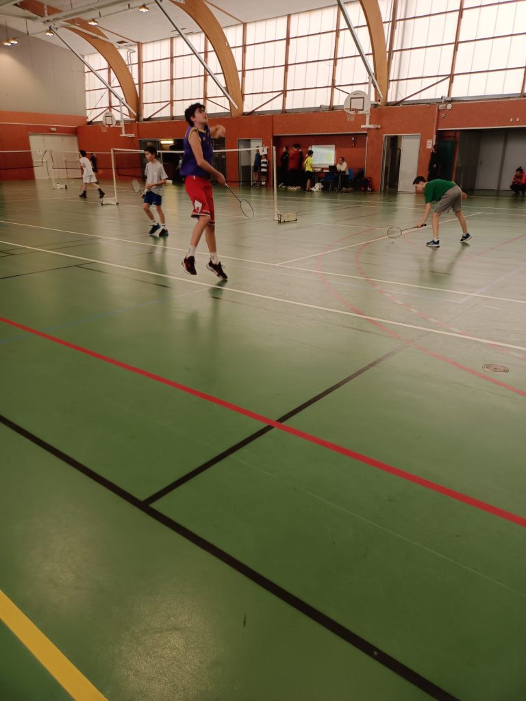 régional bad collège teloché