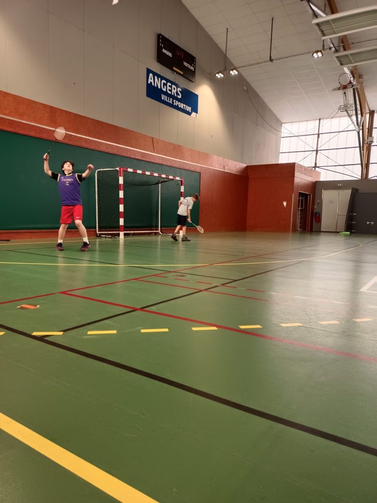 régional bad collège teloché