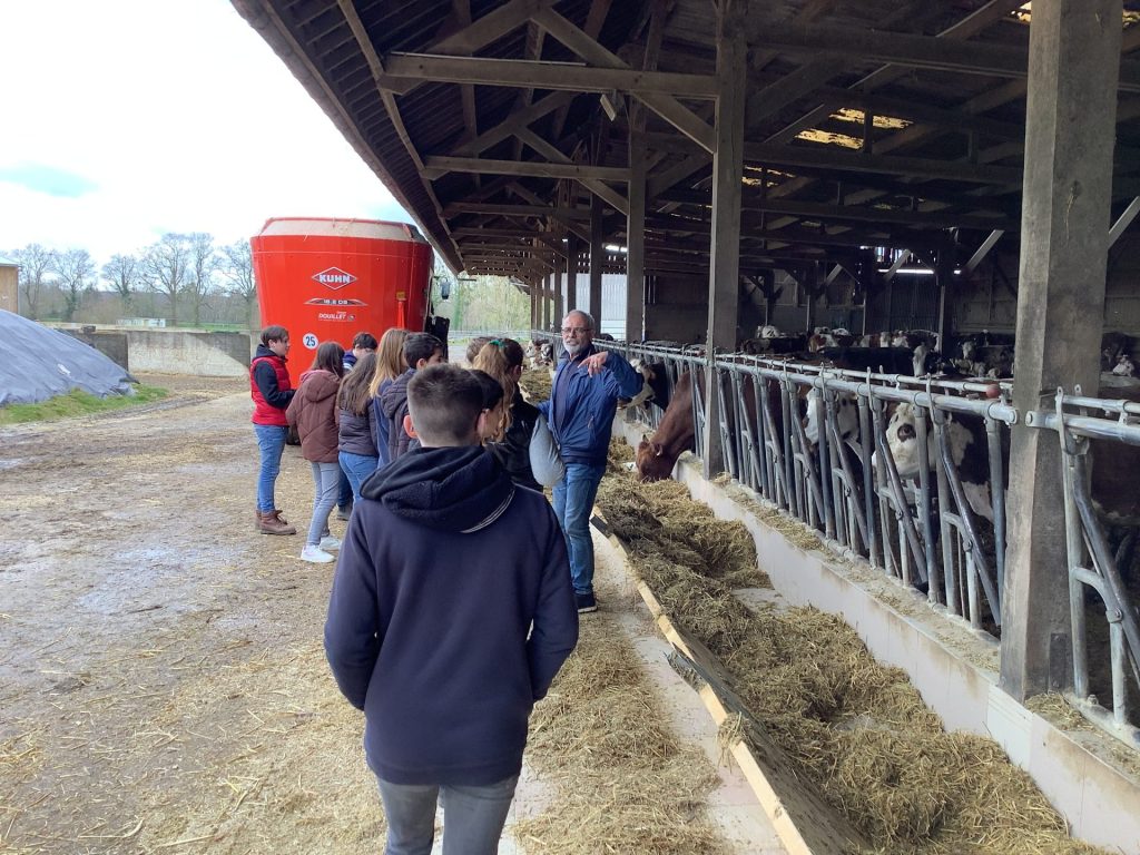 visite du GAEC Spay par le collège de teloché