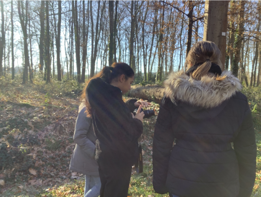 projet photo option art