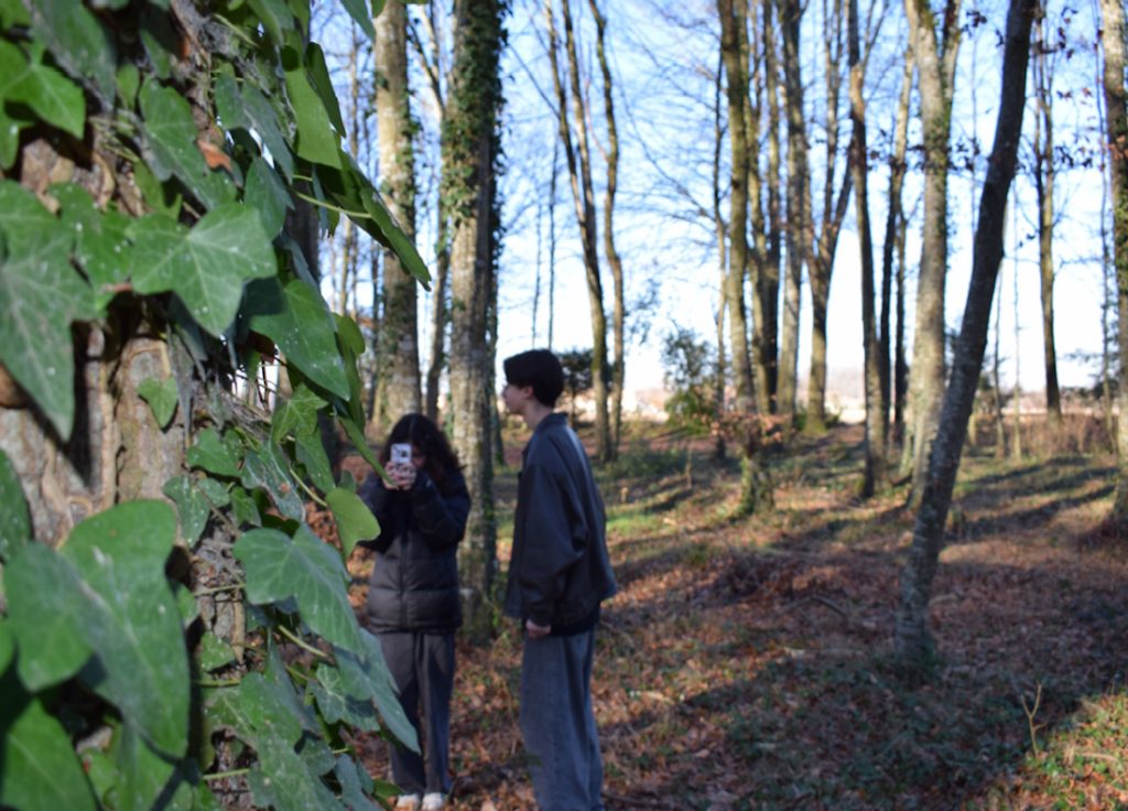 projet photo option art