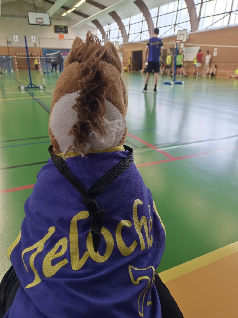 badminton teloché