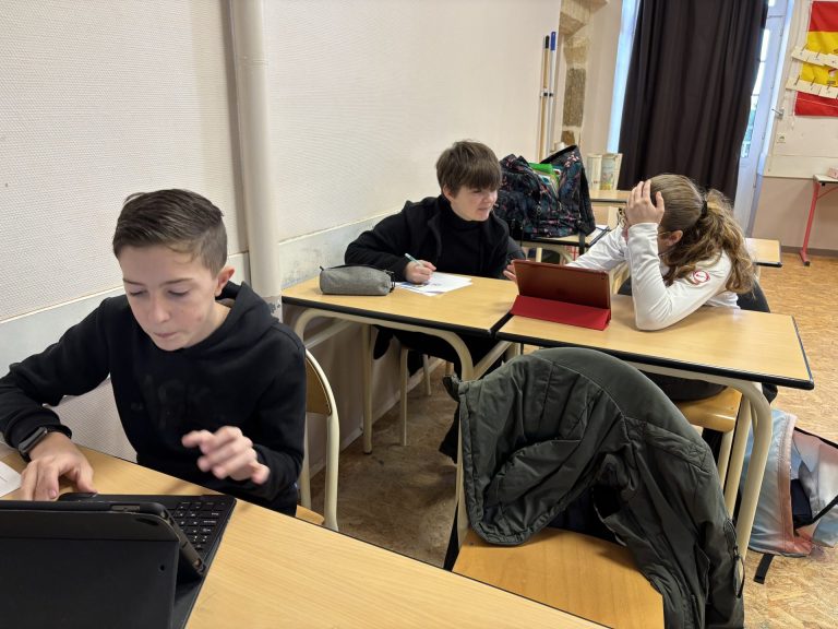 Questionnaire Mini-Entreprise