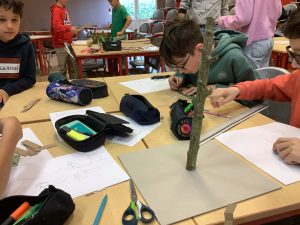 Projet “Super Cabanes” en 6ᵉD et F