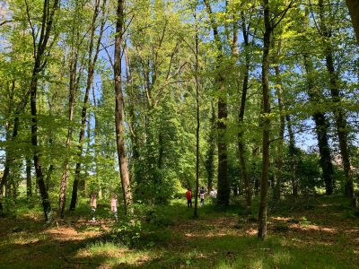 0df2d783-bb1b-495b-86ff-80342b85651e