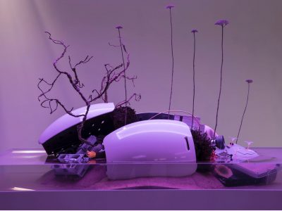 20220227_163601000_iOS