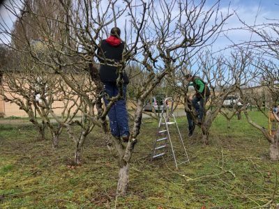 B6BA9F3D-4E07-40BA-AFD2-E867D0EC56F6