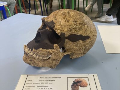 Malle préhistorique