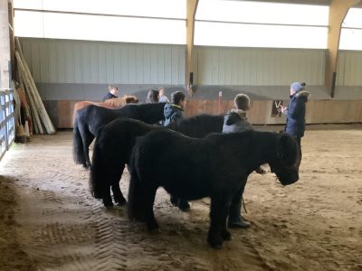 médiation équine teloché