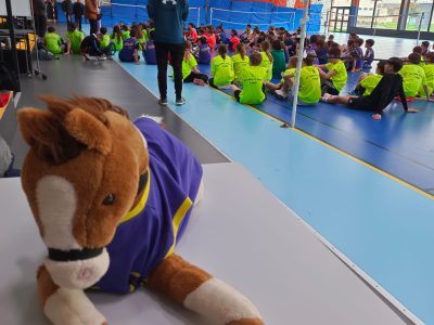 Ugsel collège STJB La Salle Teloché