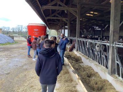 visite du GAEC Spay par le collège de teloché